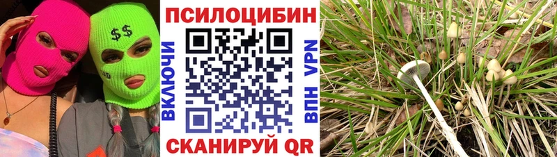 гидра ССЫЛКА  цена   Льгов  Псилоцибиновые грибы мухоморы 